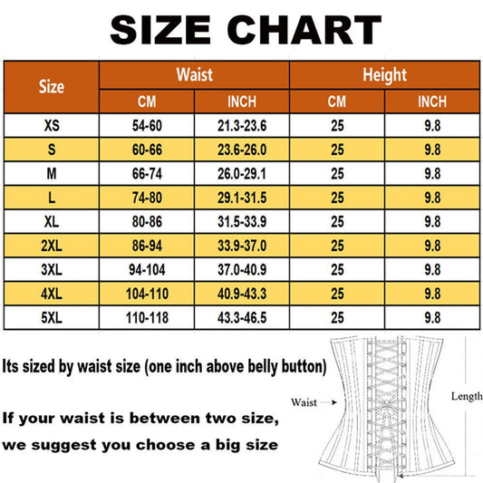 Best Quality Tummy Tuck Belt – Slimming Waist Trainer